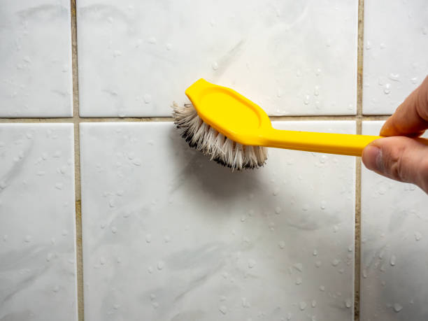 Best Residential Mold Removal  in Ferrysburg, MI