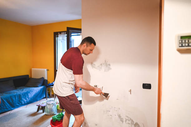 Best Home Mold Removal  in Ferrysburg, MI